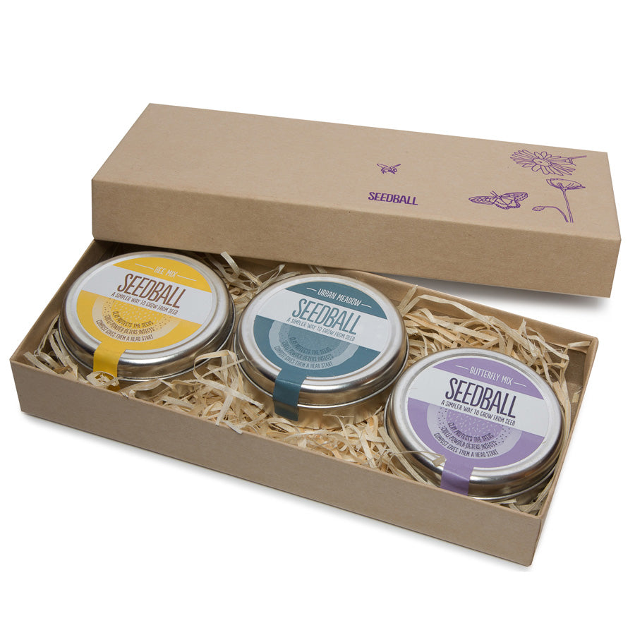 Seedball Gift Set - Bee, Butterfly & Poppy