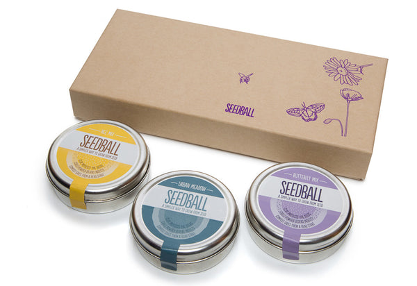 Seedball Gift Set - Bee, Butterfly & Poppy