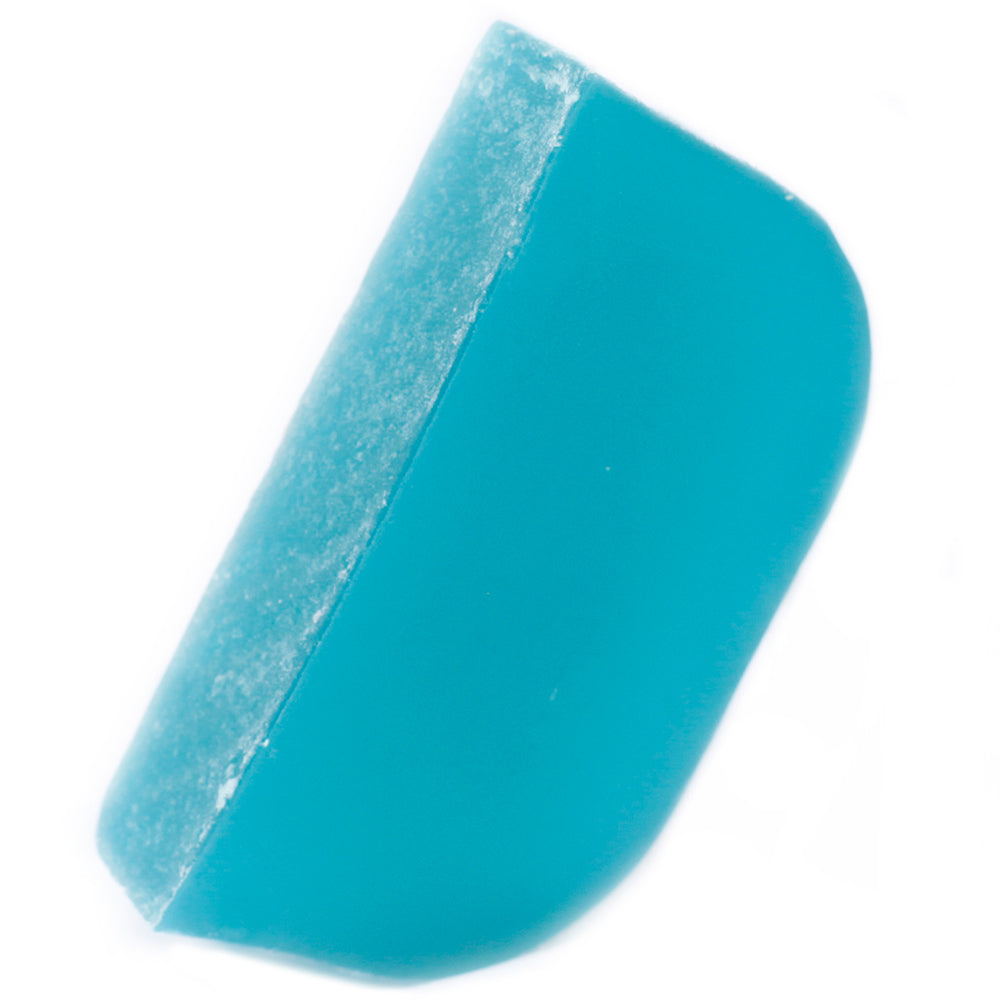 Argan Solid Shampoo Bar