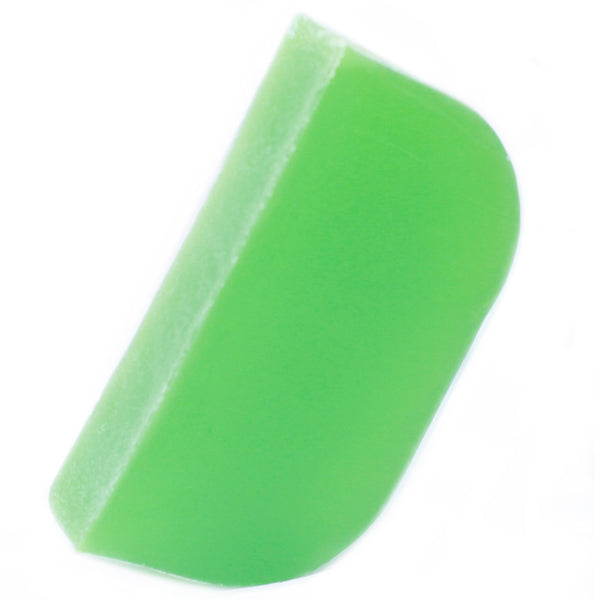 Argan Solid Shampoo Bar