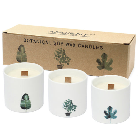 Large Botanical Soy Candle Set